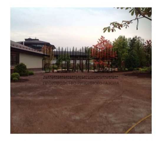 Устройство рулонного газона в коттеджном поселке - фото - 11